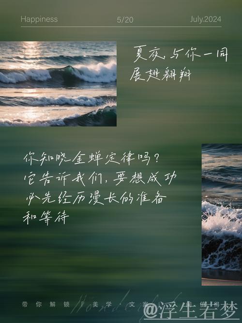 历经磨练 追求卓越 收获蜕变