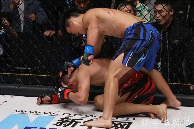 IBF轻量级冠军资格之战：克鲁斯对决三代大训